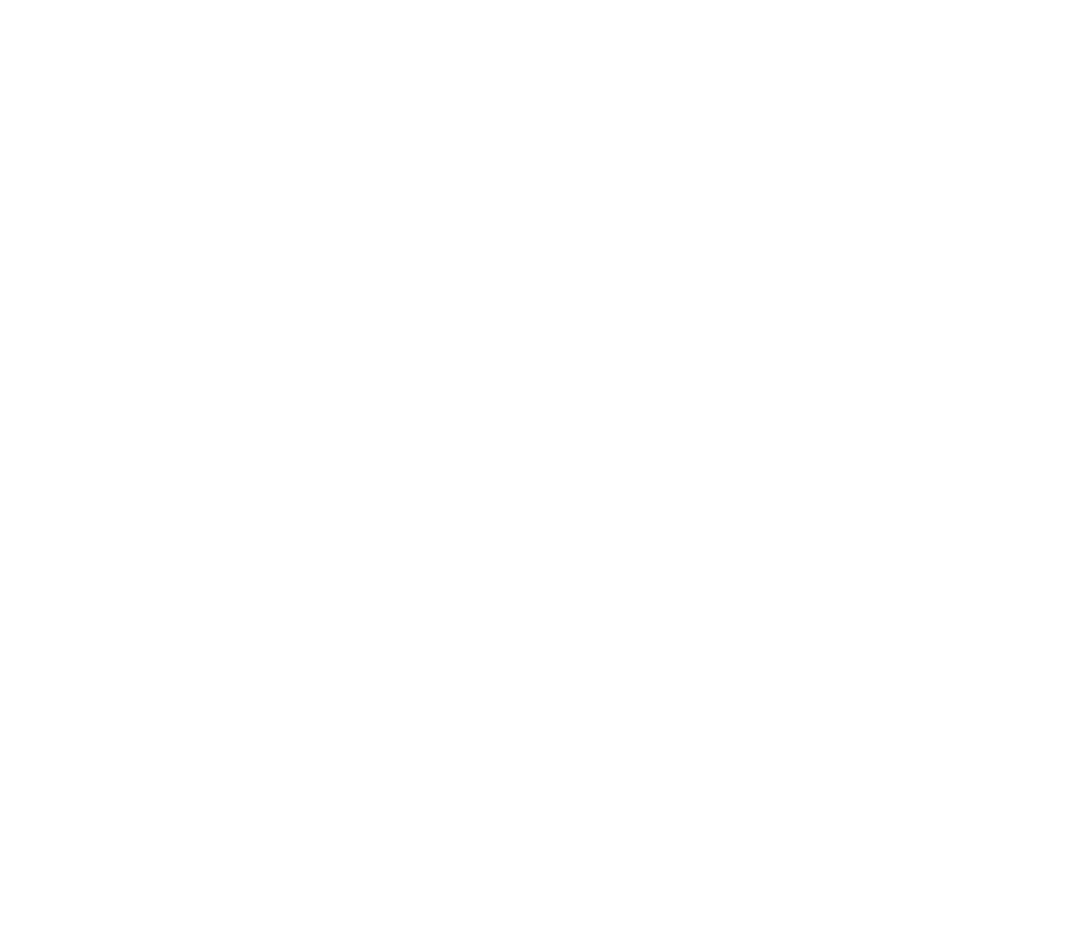 Logo Censi